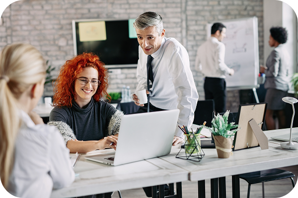 карьера в Domconnect